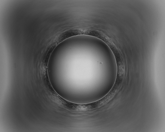 X0000116660613200912141322