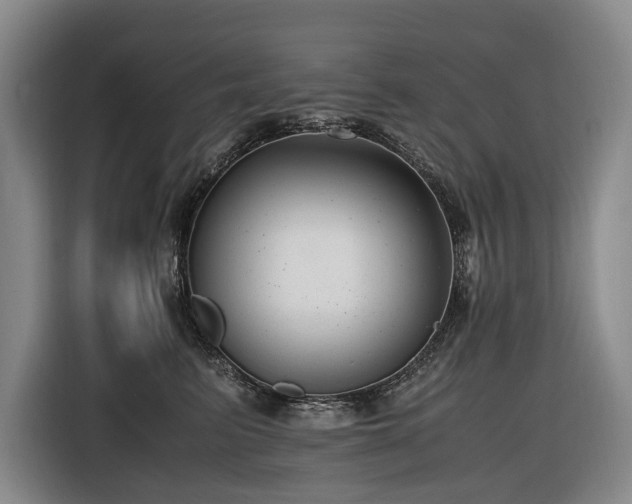 X0000116660615200912141322