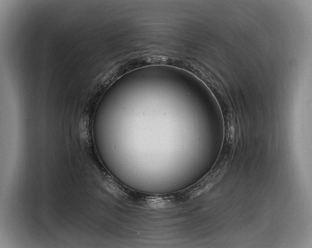 X0000116660616200912141322