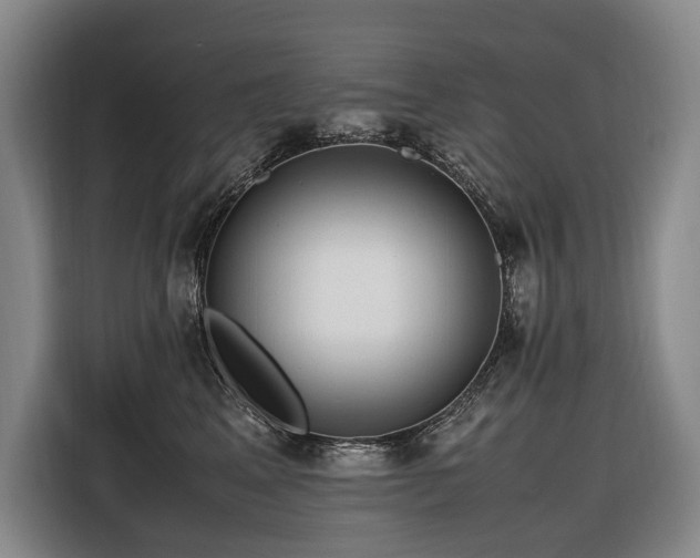 X0000116660617200912141322