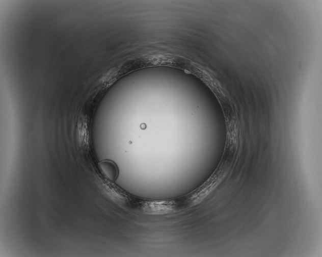 X0000116660622200912141322