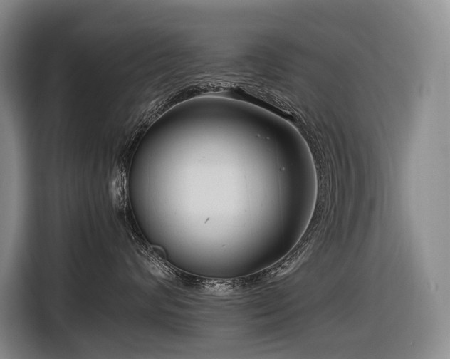 X0000116660624200912141322