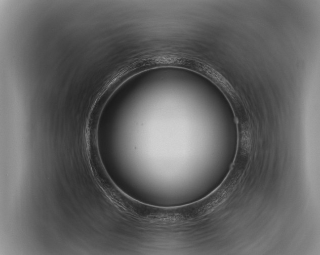 X0000116660626200912141321