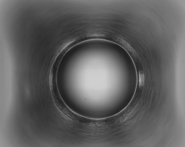 X0000116660627200912141321