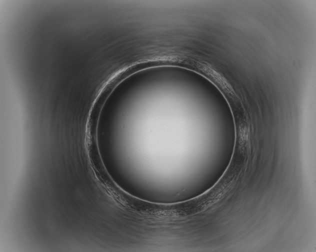 X0000116660628200912141321