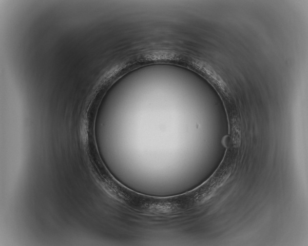 X0000116660631200912141321