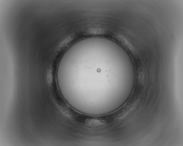 X0000116660635200912141321