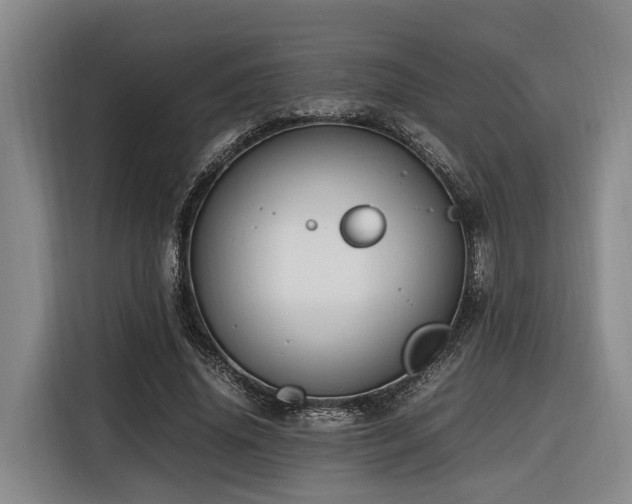 X0000116660636200912141321