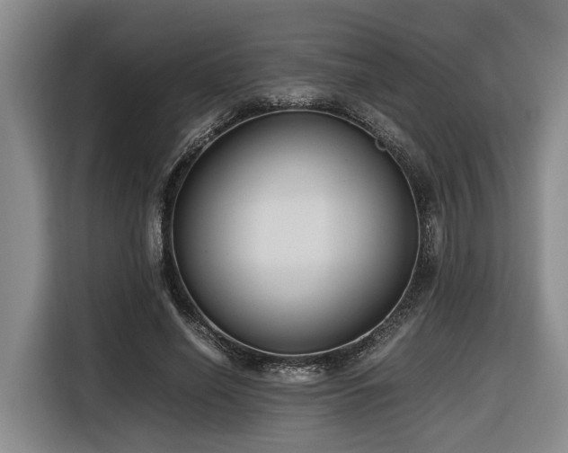 X0000116660638200912141321