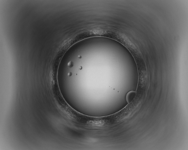 X0000116660639200912141321