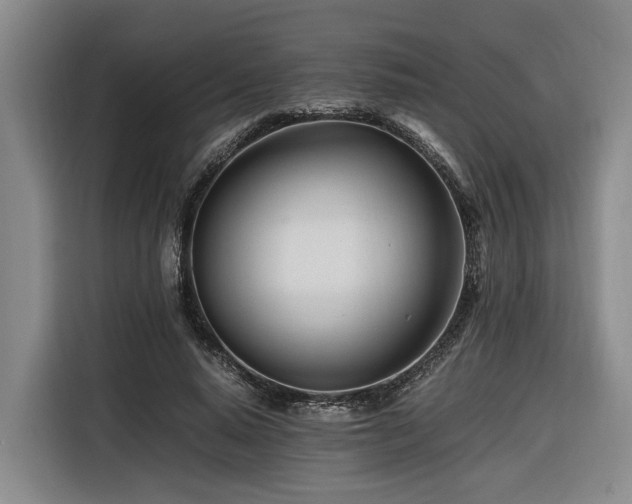 X0000116660640200912141321