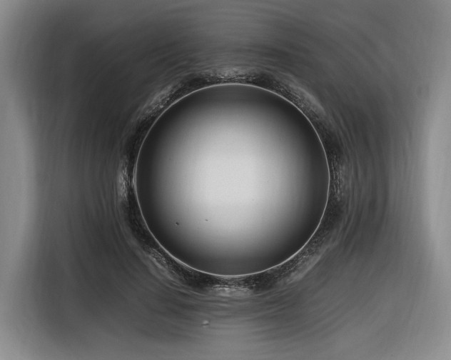 X0000116660644200912141321