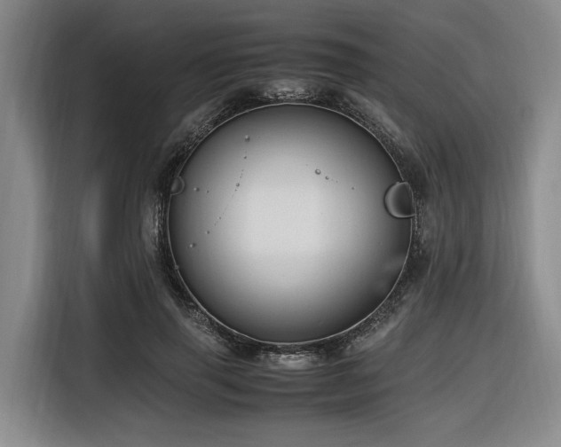 X0000116660645200912141321