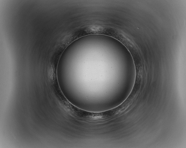 X0000116660651200912141321