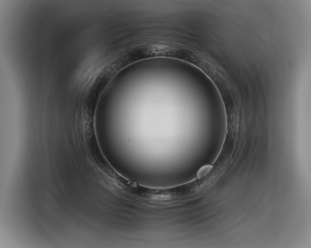 X0000116660653200912141321