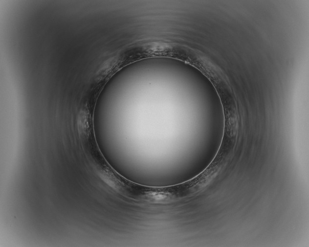 X0000116660654200912141321