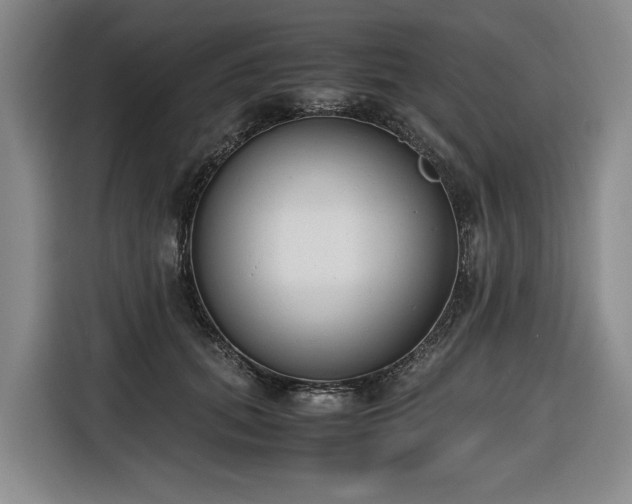 X0000116660655200912141321