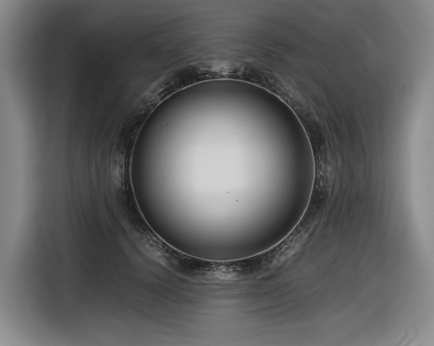 X0000116660656200912141321