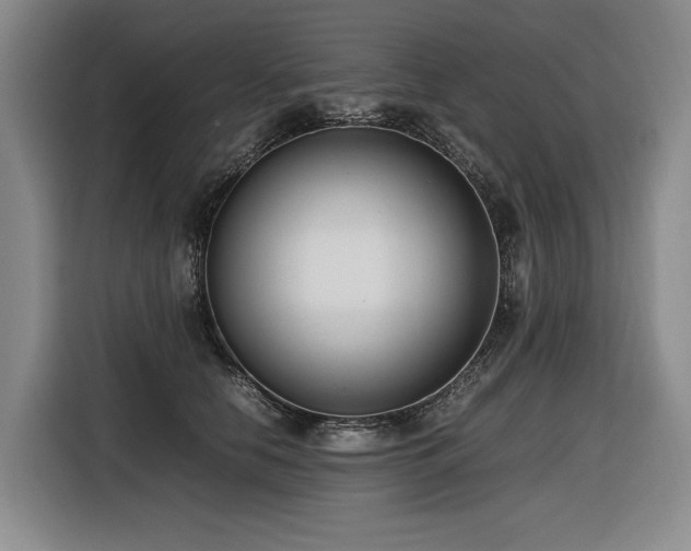 X0000116660658200912141321