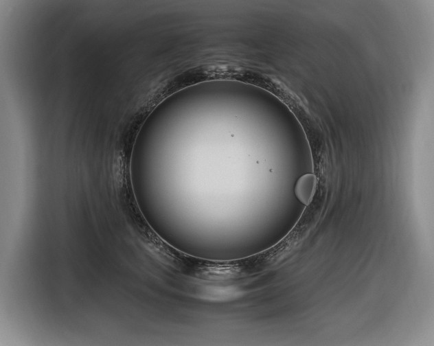 X0000116660659200912141321