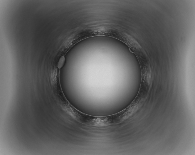 X0000116660660200912141321