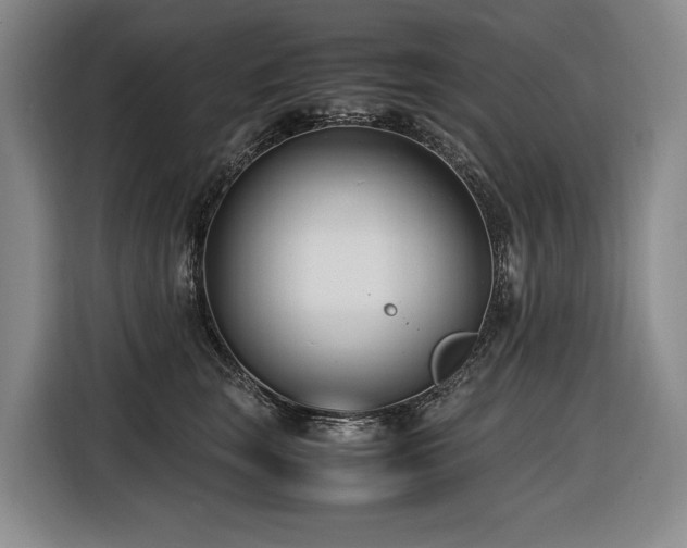 X0000116660663200912141321