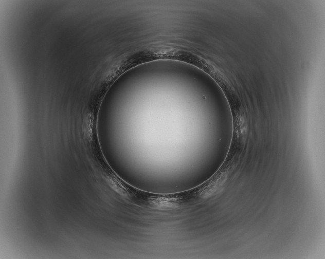 X0000116660664200912141321