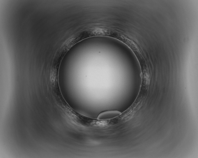 X0000116660665200912141321