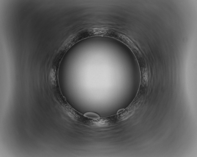 X0000116660667200912141321