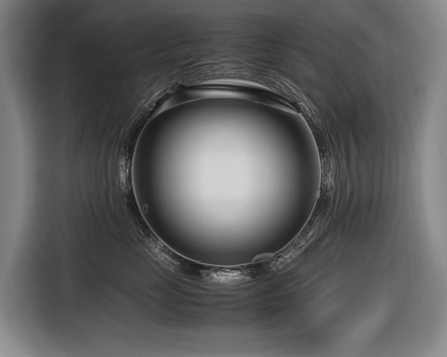 X0000116660669200912141322