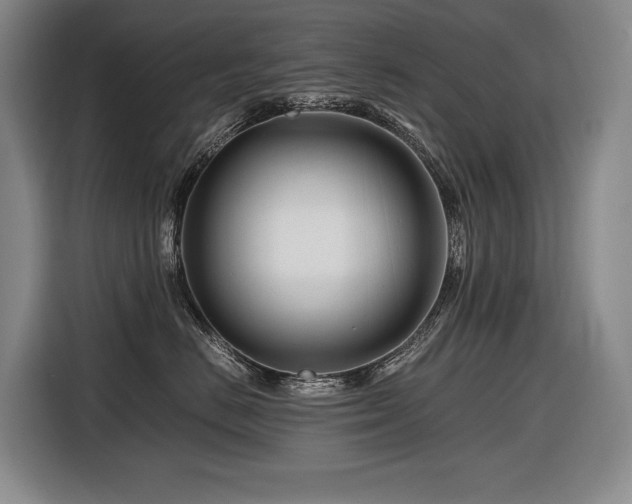 X0000116660670200912141322