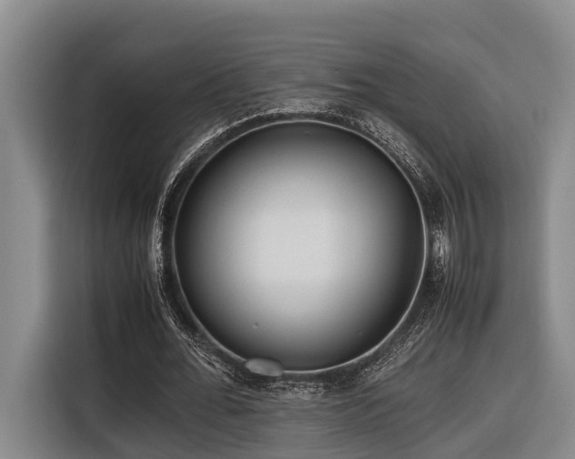 X0000116660676200912141321