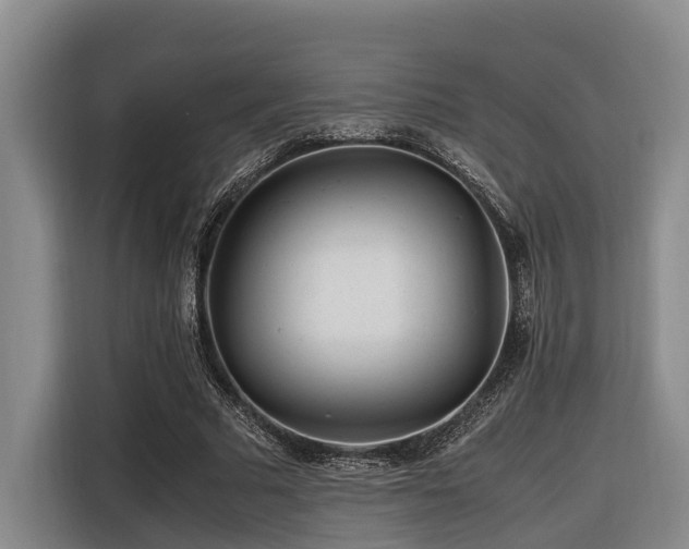 X0000116660681200912141321