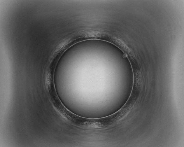 X0000116660683200912141321