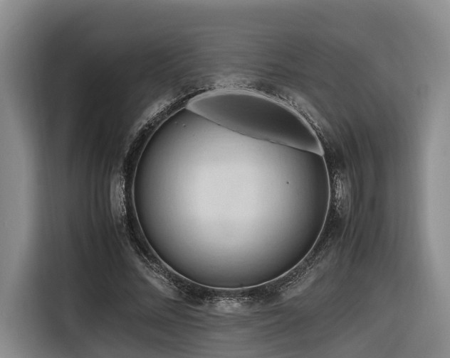 X0000116660684200912141321