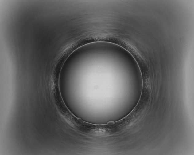 X0000116660687200912141321