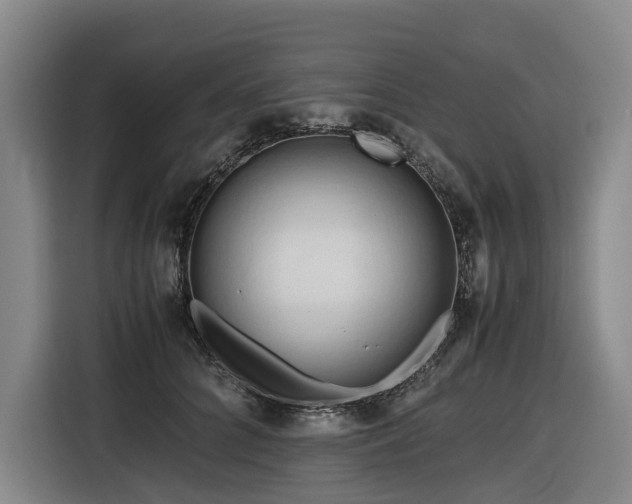 X0000116660704200912141321