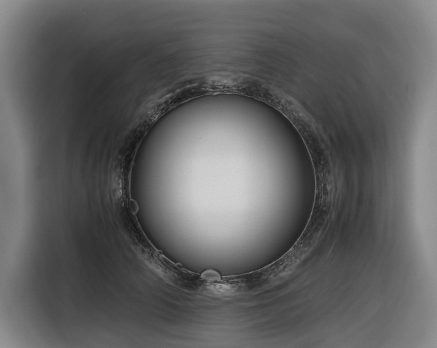 X0000116660706200912141321