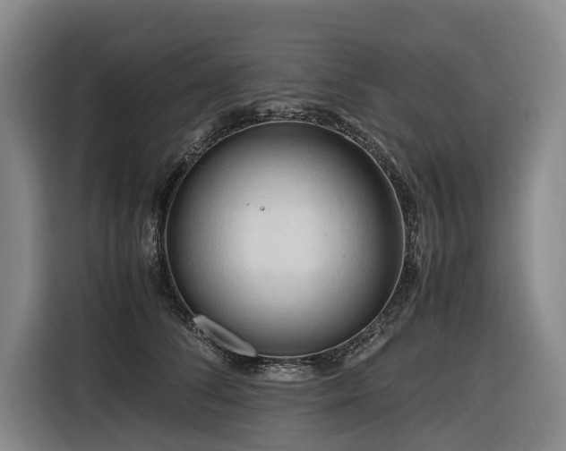 X0000116660708200912141320