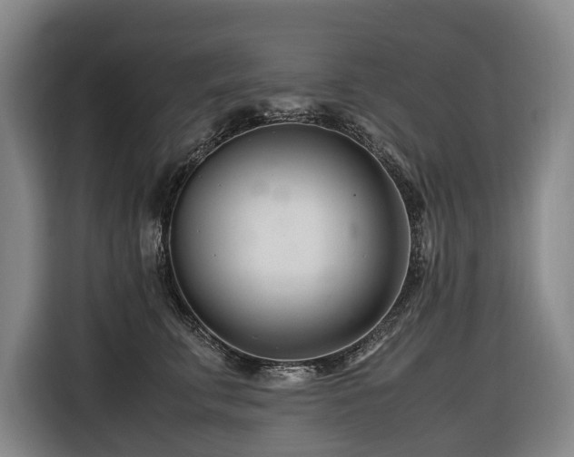 X0000116660711200912141320