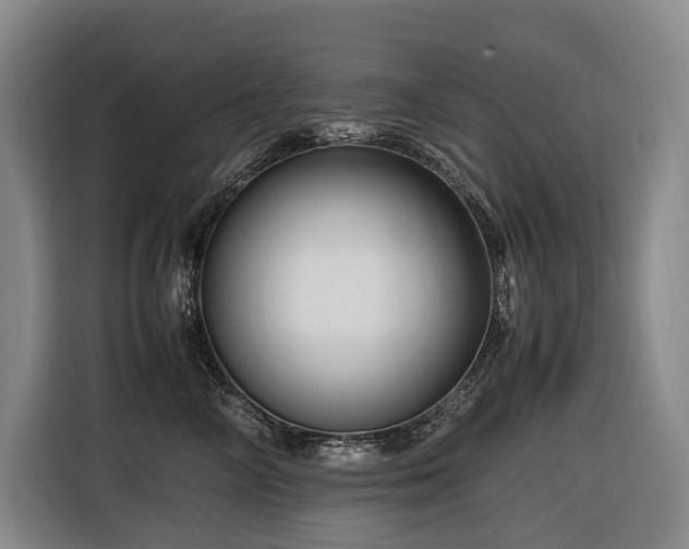 X0000116660714200912141320