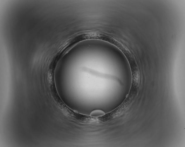 X0000116660715200912141320