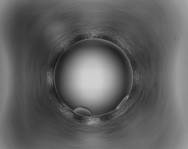 X0000116660719200912141320