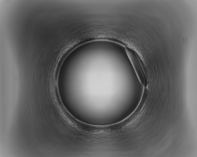 X0000116660721200912141320