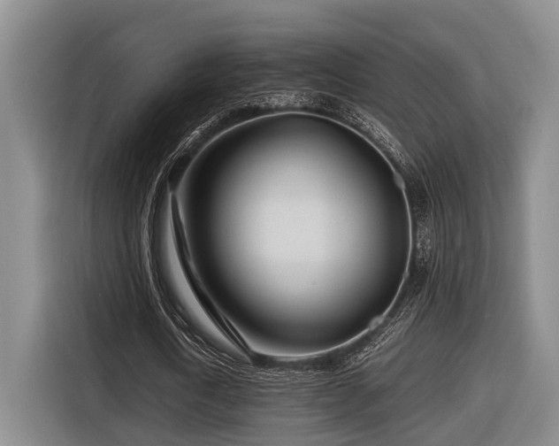 X0000116660722200912141320