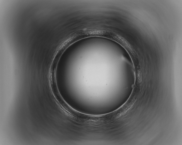 X0000116660725200912141320