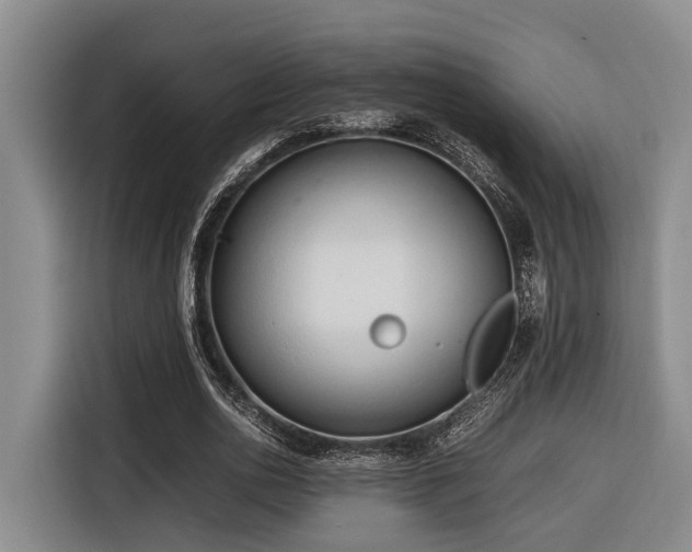 X0000116660726200912141320