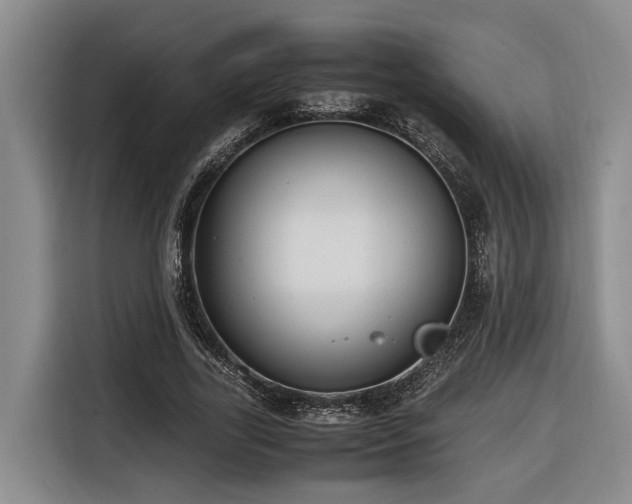 X0000116660731200912141320