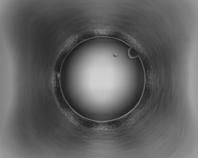 X0000116660738200912141320