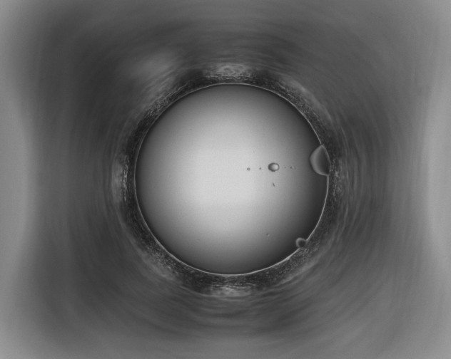 X0000116660739200912141320